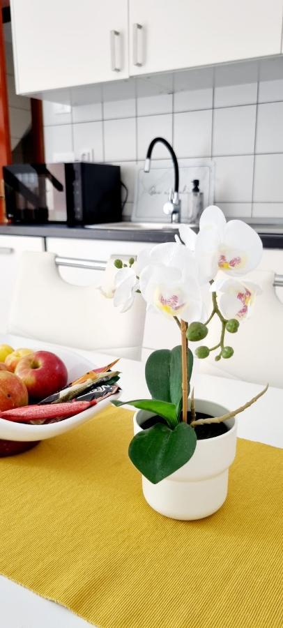 Apartments Severina Rovinj Zewnętrze zdjęcie